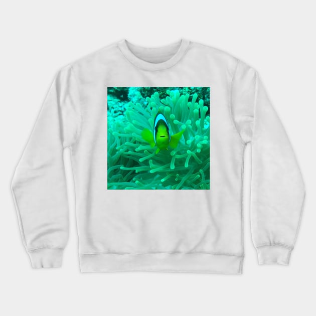 Greetings from Clownfish Crewneck Sweatshirt by likbatonboot